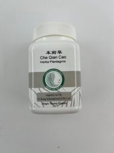 车前草 / Che Qian Cao